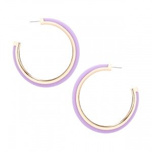 Classic Color Gold Inlay Hoop Earring Assorted
