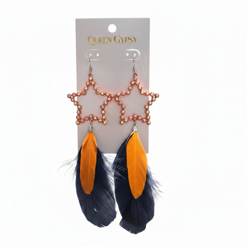 Astros Tassel & Feather Earrings Asst