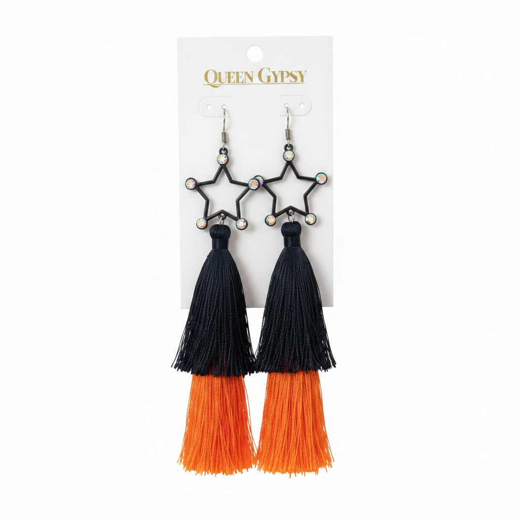 Astros Tassel & Feather Earrings Asst