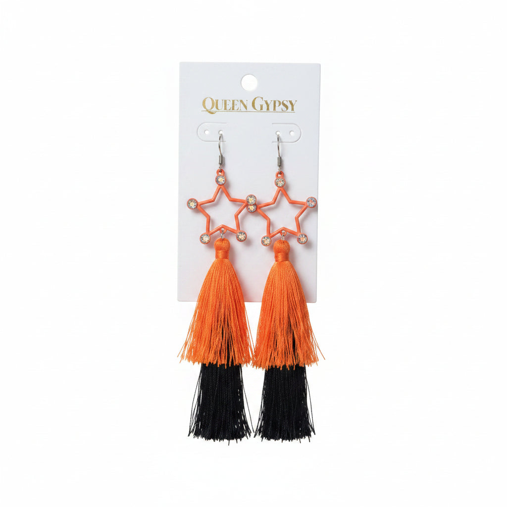 Astros Tassel & Feather Earrings Asst