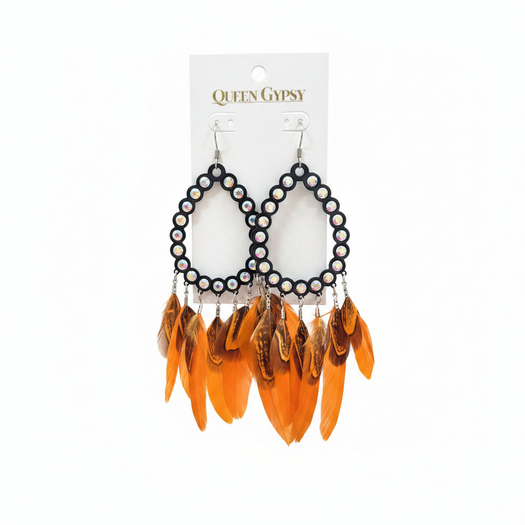 Astros Tassel & Feather Earrings Asst