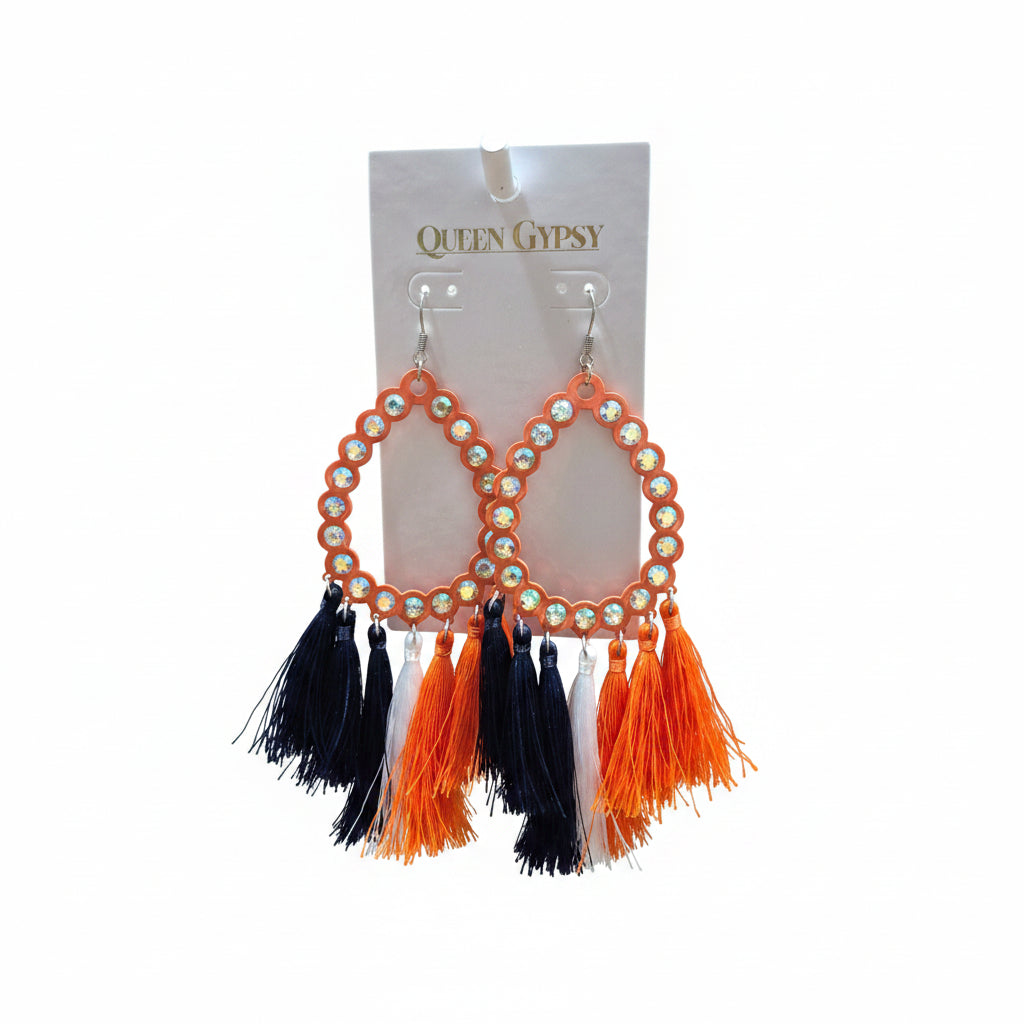Astros Tassel & Feather Earrings Asst