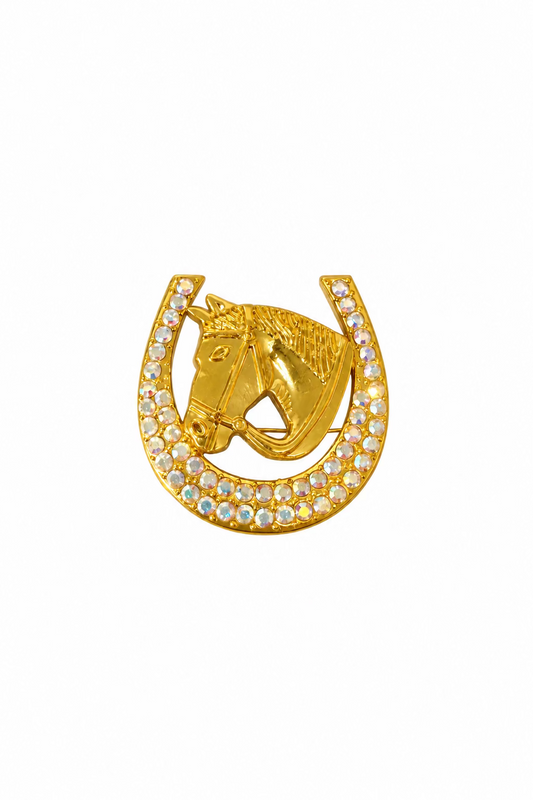 Lucky Bet Horseshoe Brooch