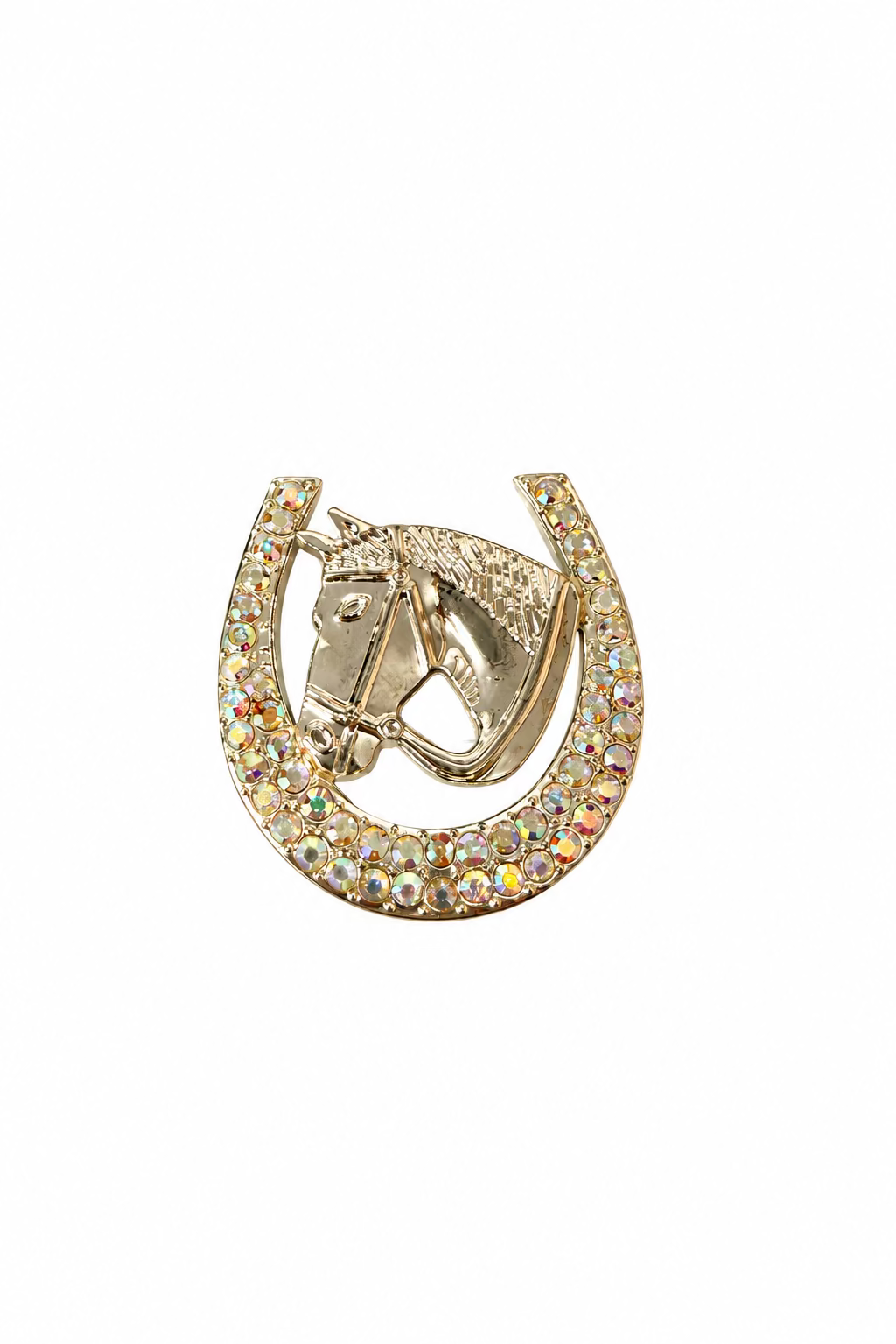 Lucky Bet Horseshoe Brooch