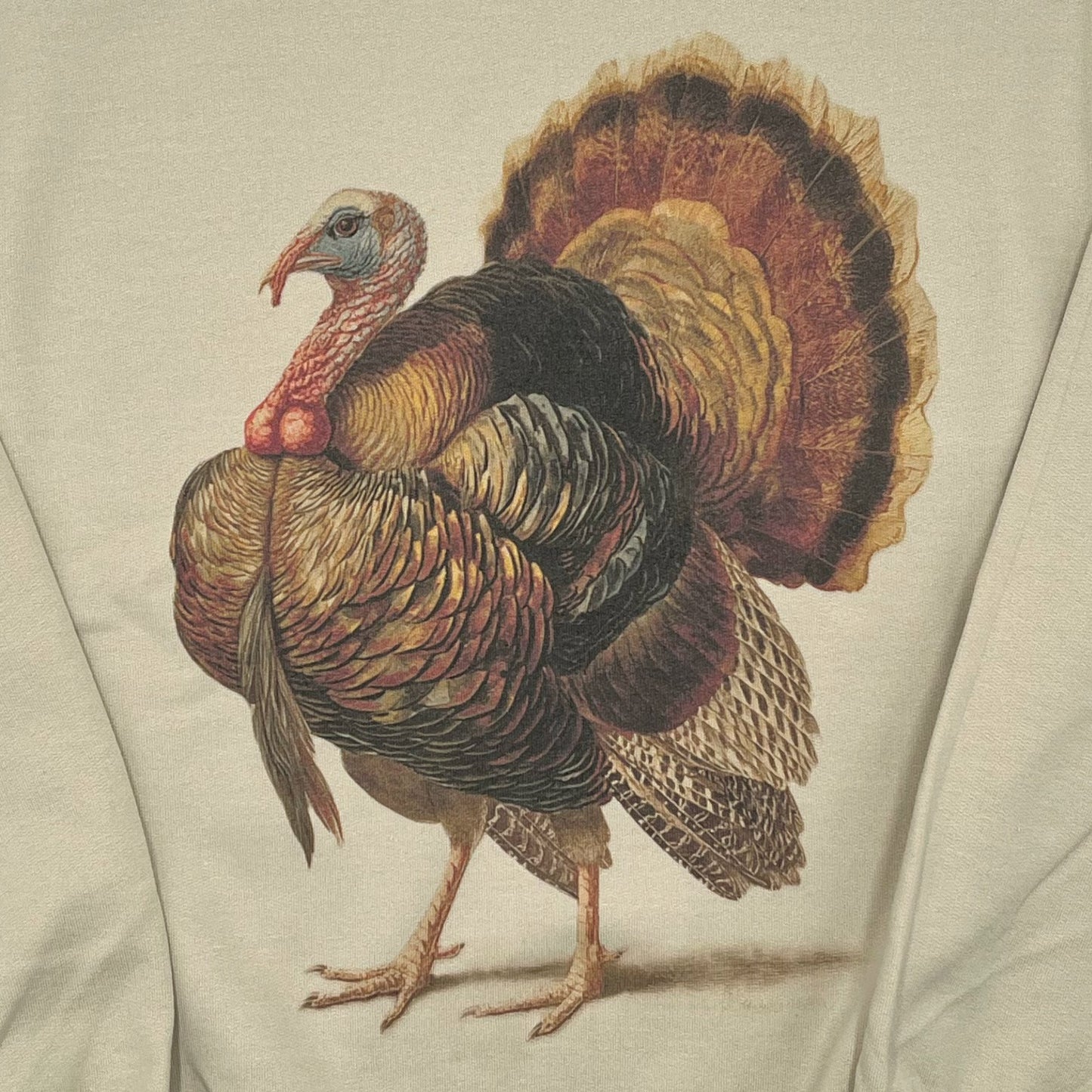 Fancy Turkey Sweatshirt on Tan
